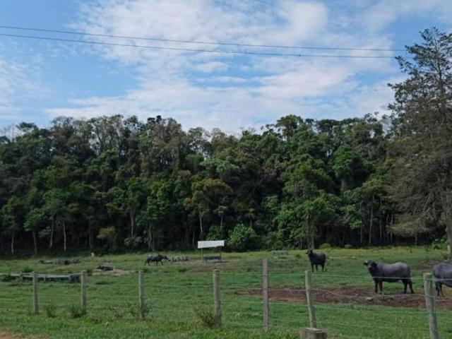 Fazenda