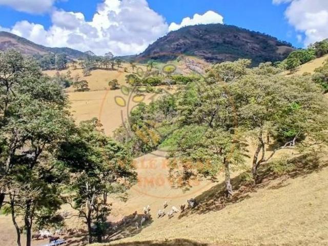 Fazenda