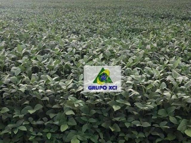 Fazenda