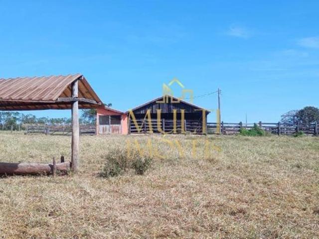Fazenda