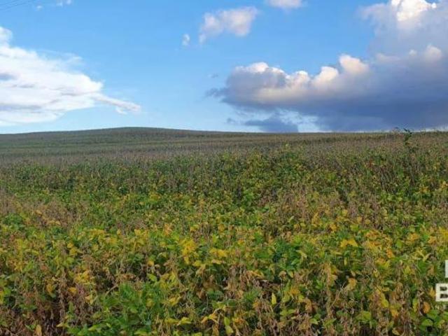 Fazenda