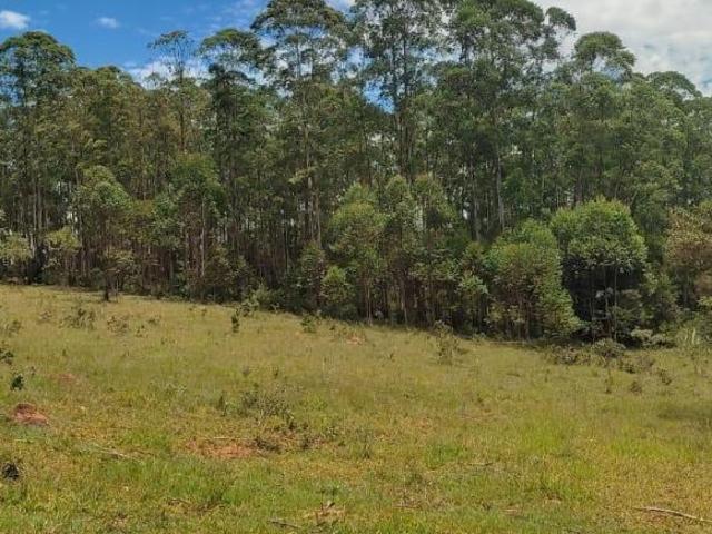 FAZENDA 60 HECTARES RICA DE ÁGUA E BOA DE TERRA À VENDA EM PIEDADE DOS GERAIS/MG