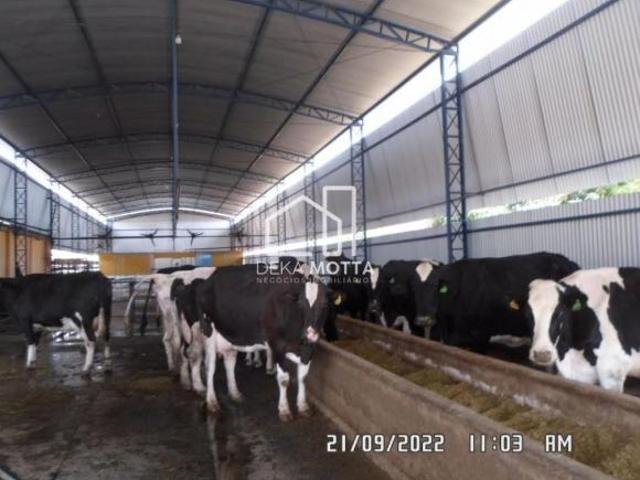 Fazenda