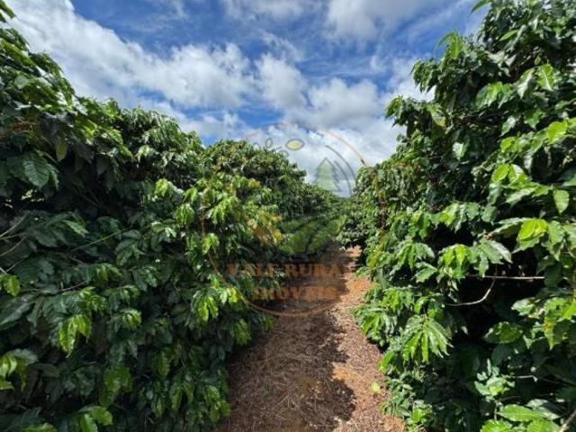 Fazenda