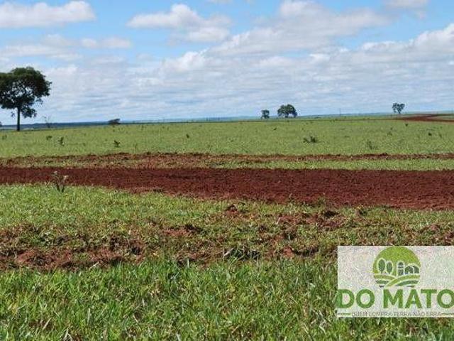 FAZENDA 6300 HECTARES DUPLA APTIDAO EM CAMAPUA MS