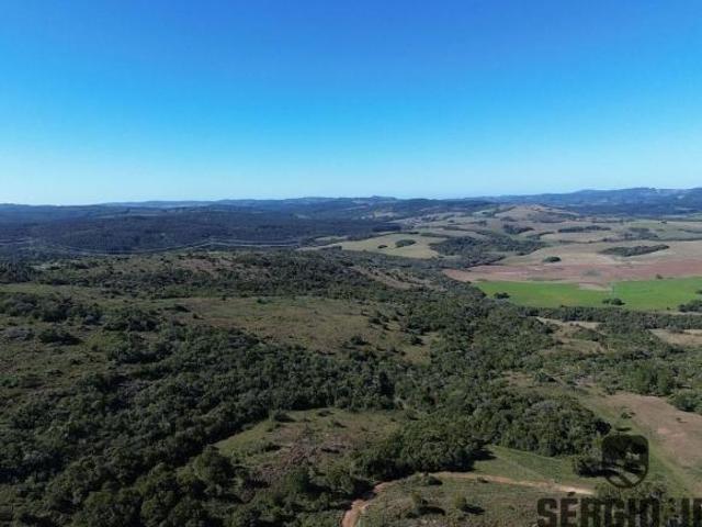FAZENDA 634HÁ EXCELENTE OPORTUNIDADE PARA PECUÁRIA, REFLORESTAMENTO E LAVOURA A 23 KM DA BR 290