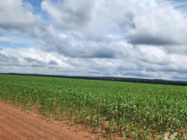 Fazenda