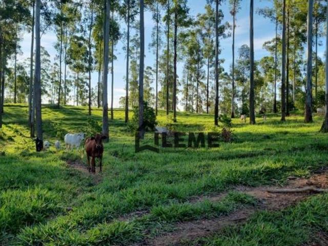 Fazenda
