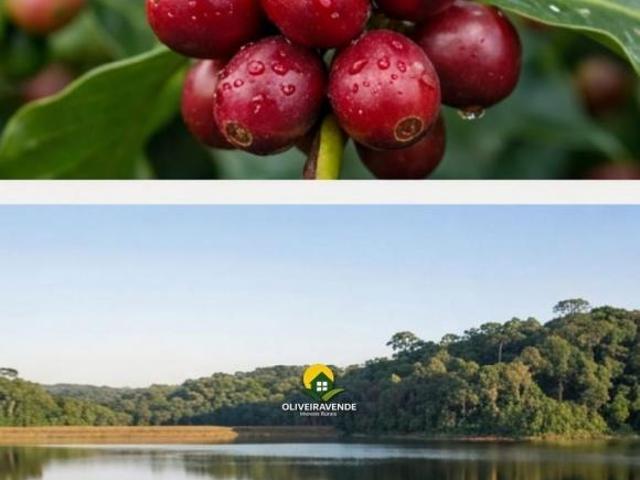 Fazenda