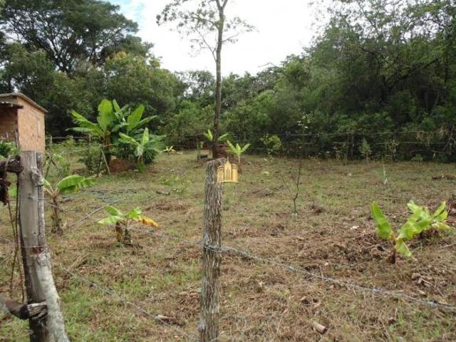 Fazenda