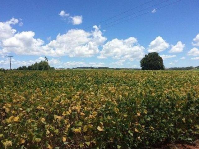 Fazenda