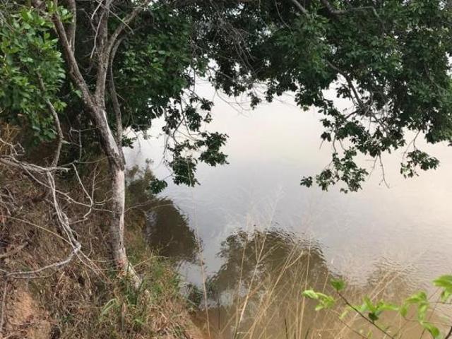Fazenda 772 hectares localizada em Várzea da Palma/MG