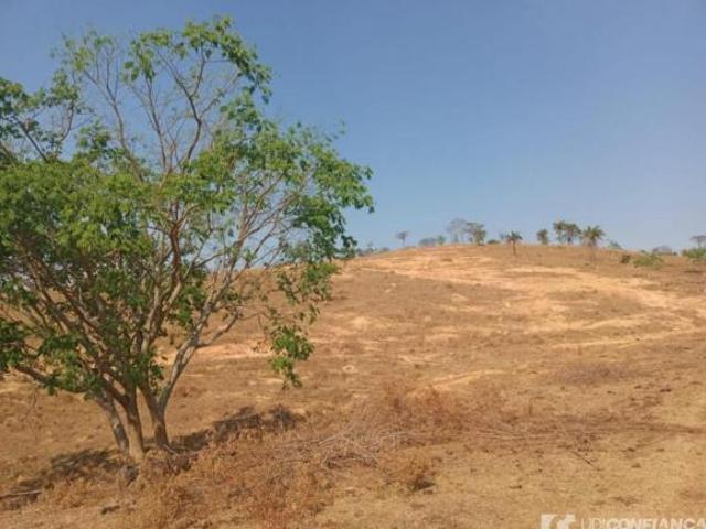 Fazenda