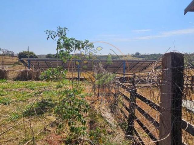 Fazenda