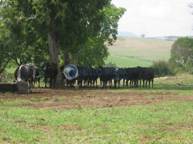 Fazenda