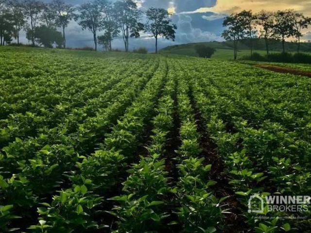Fazenda