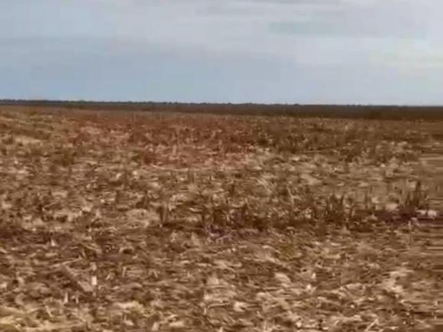 Fazenda