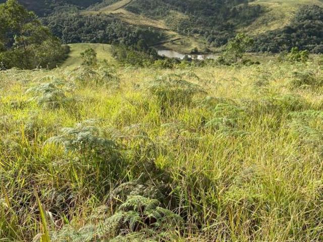 Fazenda 78 Alqueires, Rico em Água, Planta se 40 Alqueires, Atualmente Esta Em Pasto, Ótima Localiza
