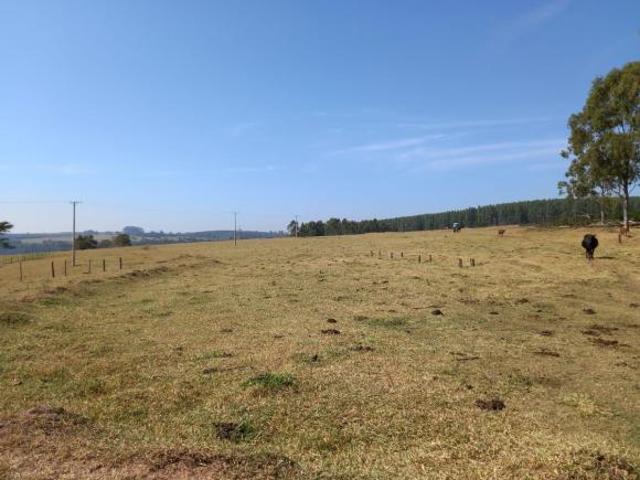 Fazenda