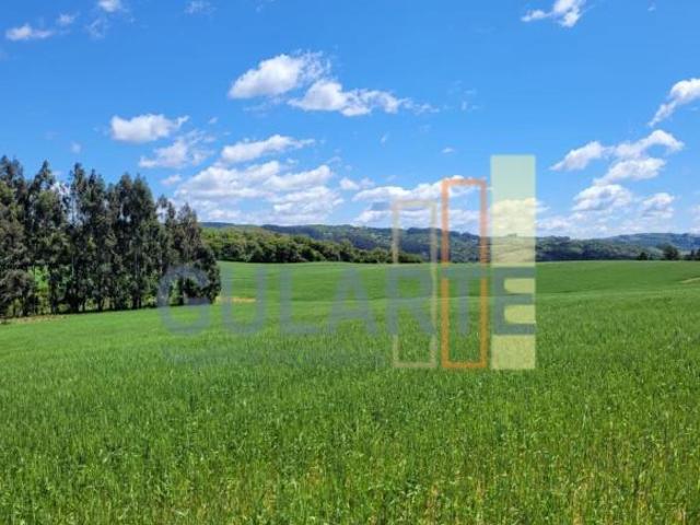 Fazenda para venda em Centro, Encruzilhada do Sul