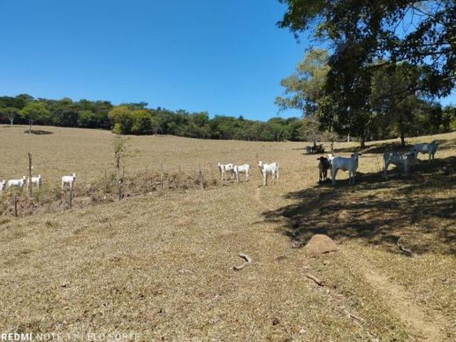 Fazenda