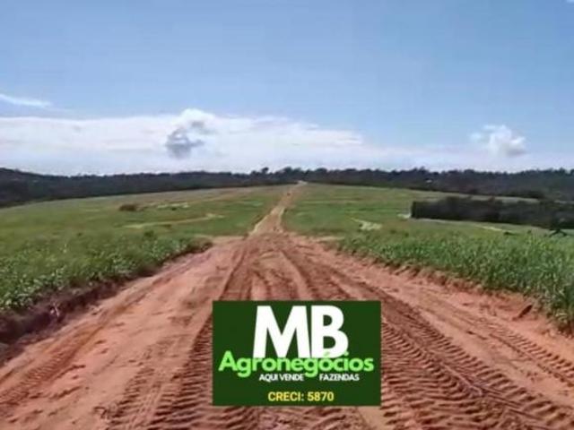 Fazenda