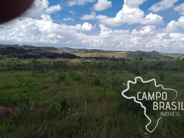 FAZENDA 700 HECTARES PASTO NATIVO EM MINAS GERAIS !
