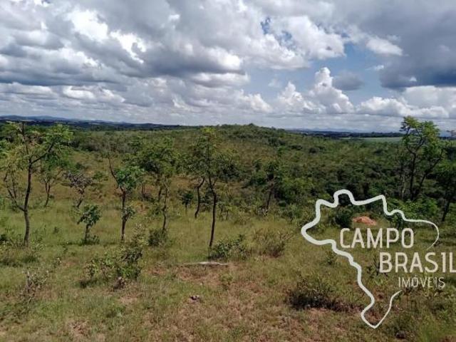 FAZENDA 700 HECTARES PASTO NATIVO EM MINAS GERAIS !