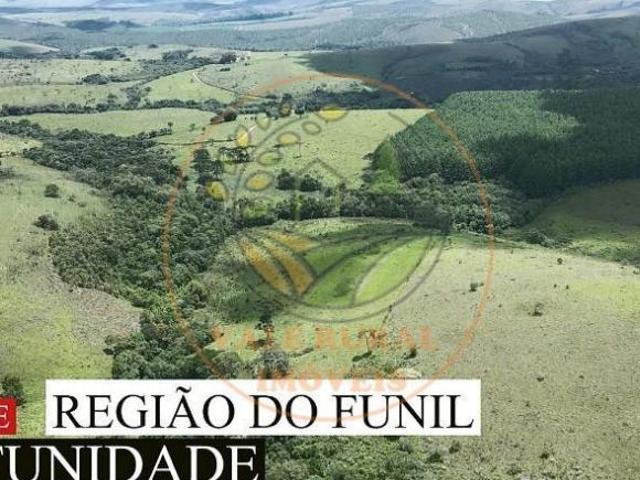 Fazenda