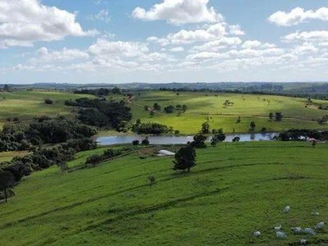 Fazenda 70 Alqueires, Formada em Pasto, Ótima Topografia, Solo Misto, Boa de Água, Represa, *Benfeit