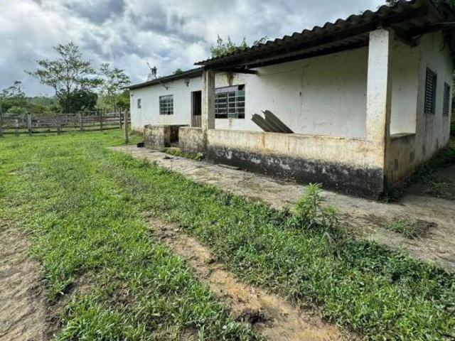 Fazenda 70 Alqueires no Vale do Ribeira SP COD: 5325 F: 11 97302 9229 CESAR