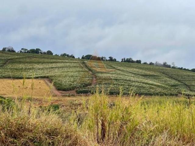 Fazenda