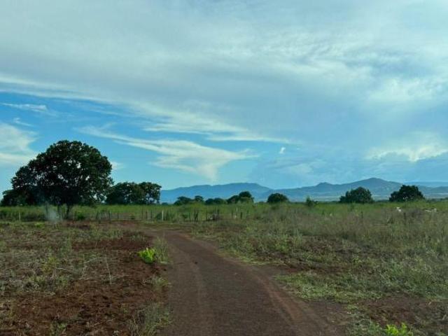 Fazenda