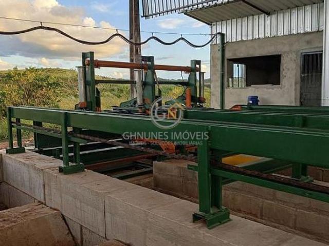 Fazenda 722 Alq em Jacupiranga | 272 Alq Eucalipto Citriodor