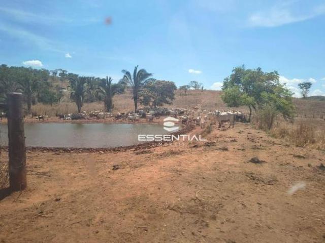 Fazenda