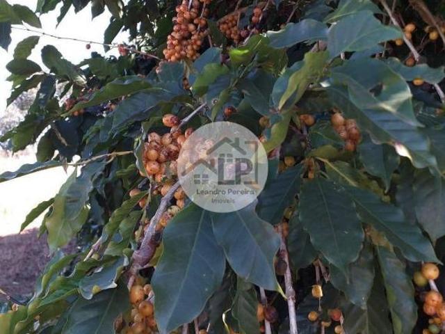 Fazenda