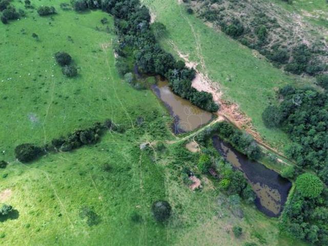 Fazenda