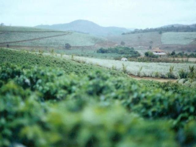 Fazenda