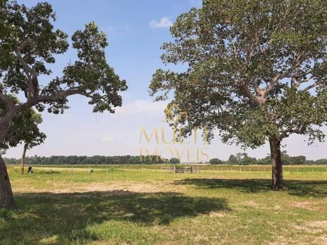 Fazenda