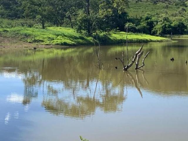 Fazenda