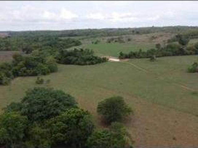 Fazenda