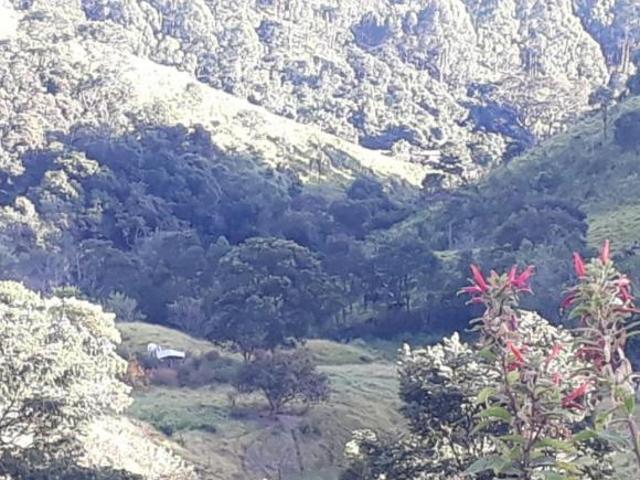 Fazenda 84,5 Hectares com Estrutura Completa para Pecuária Leiteira em Itajubá/MG
