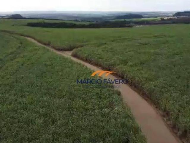 Fazenda
