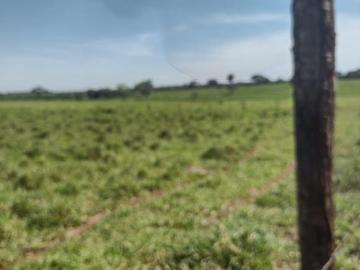 Fazenda