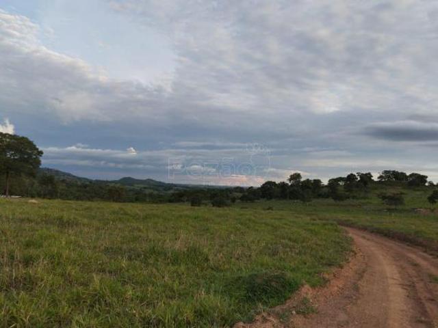 Fazenda