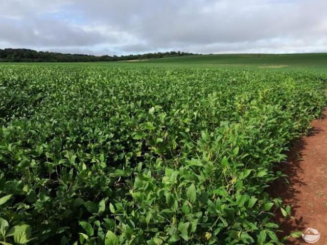 Fazenda