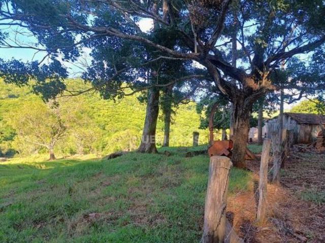 Fazenda