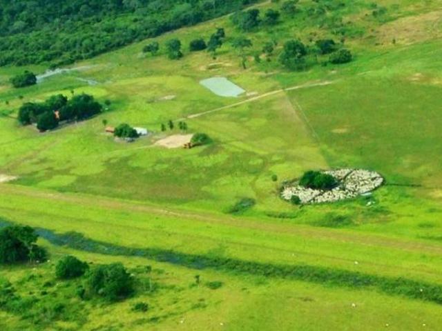 Fazenda