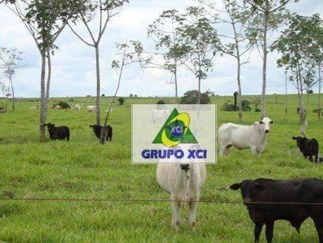 Fazenda