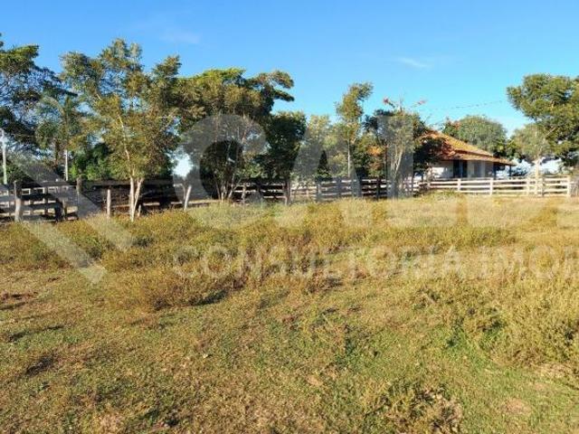 Fazenda